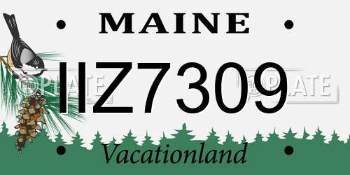 IIZ7309 Maine License Plate