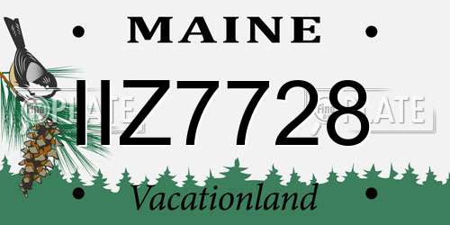 IIZ7728 Maine License Plate