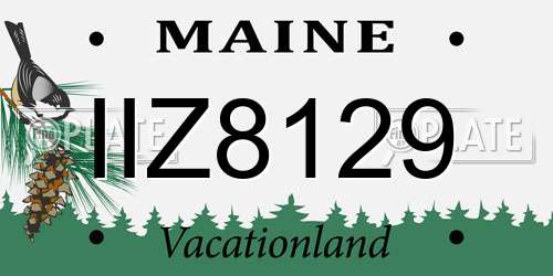 IIZ8129 Maine License Plate