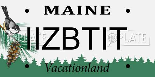 IIZBTIT Maine License Plate