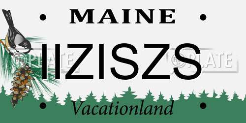 IIZISZS Maine License Plate