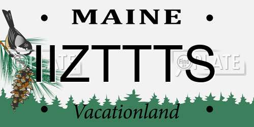 IIZTTTS Maine License Plate