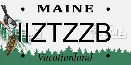 IIZTZZB Maine License Plate