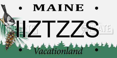IIZTZZS Maine License Plate