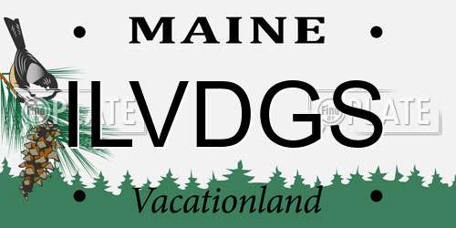 ILVDGS Maine License Plate