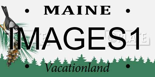 IMAGES1 Maine License Plate