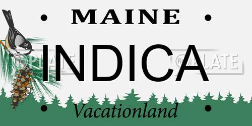 INDICA Maine License Plate