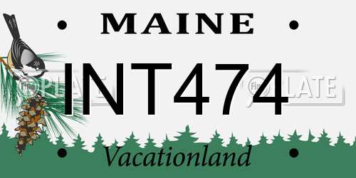 INT474 Maine License Plate