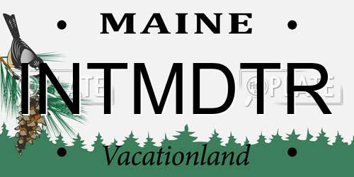 INTMDTR Maine License Plate