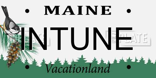 INTUNE Maine License Plate