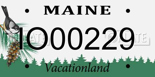 IO00229 Maine License Plate