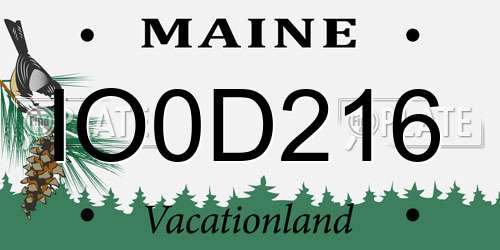 IO0D216 Maine License Plate