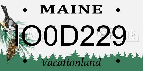 IO0D229 Maine License Plate