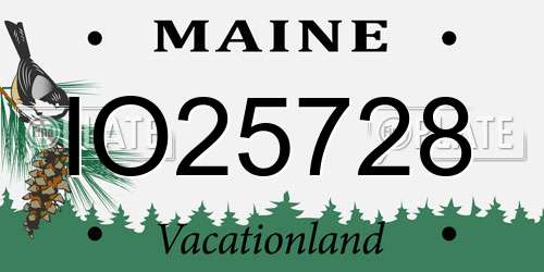 IO25728 Maine License Plate