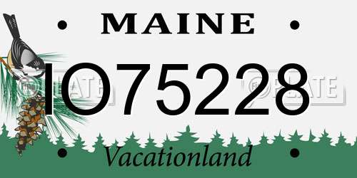 IO75228 Maine License Plate