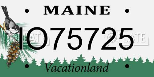 IO75725 Maine License Plate