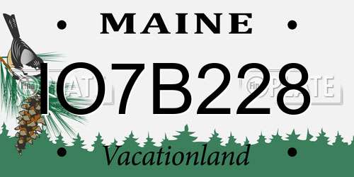 IO7B228 Maine License Plate