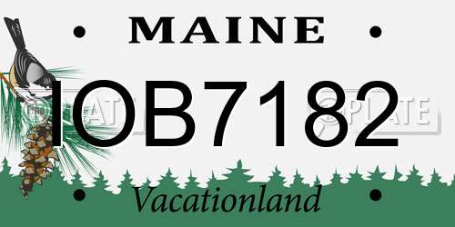 IOB7182 Maine License Plate