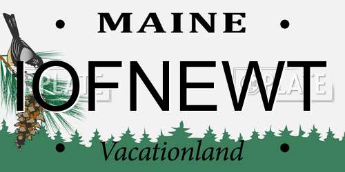 IOFNEWT Maine License Plate