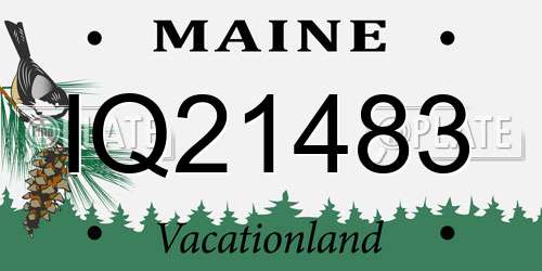 IQ21483 Maine License Plate