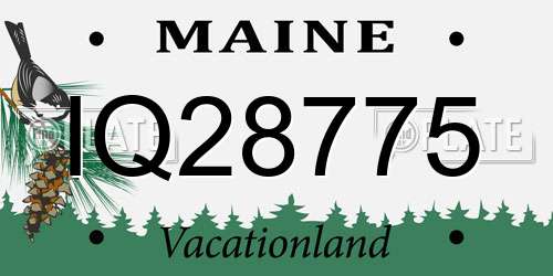 IQ28775 Maine License Plate
