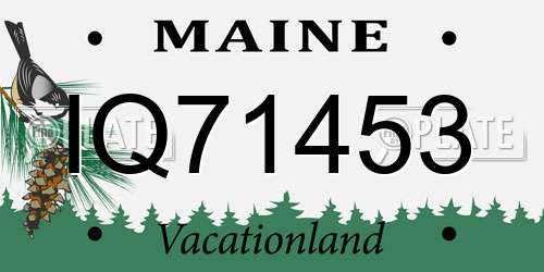 IQ71453 Maine License Plate