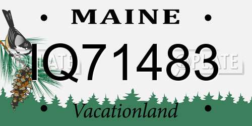 IQ71483 Maine License Plate