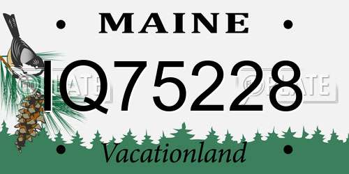 IQ75228 Maine License Plate