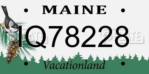 IQ78228 Maine License Plate