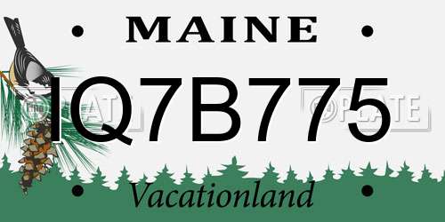 IQ7B775 Maine License Plate
