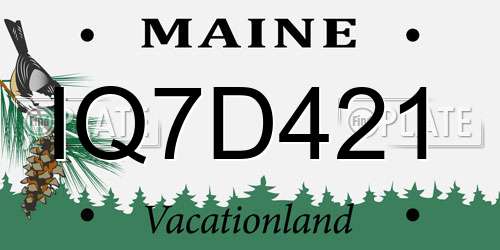 IQ7D421 Maine License Plate