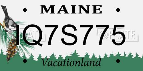 IQ7S775 Maine License Plate