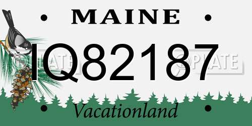 IQ82187 Maine License Plate