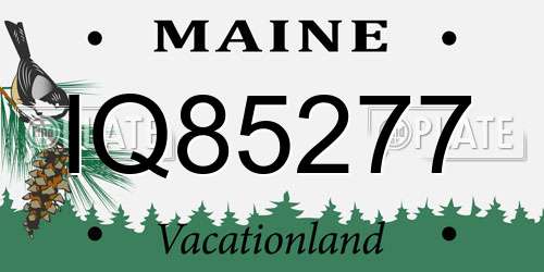 IQ85277 Maine License Plate
