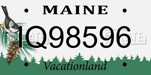 IQ98596 Maine License Plate