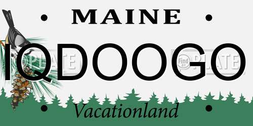 IQDOOGO Maine License Plate
