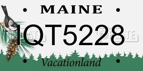 IQT5228 Maine License Plate