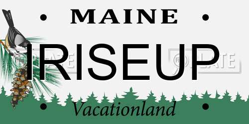 IRISEUP Maine License Plate