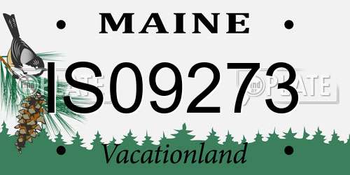 IS09273 Maine License Plate