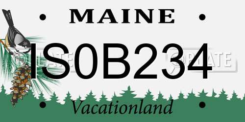 IS0B234 Maine License Plate