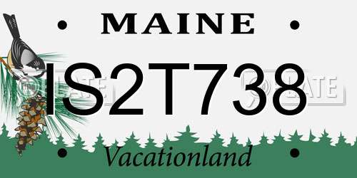IS2T738 Maine License Plate