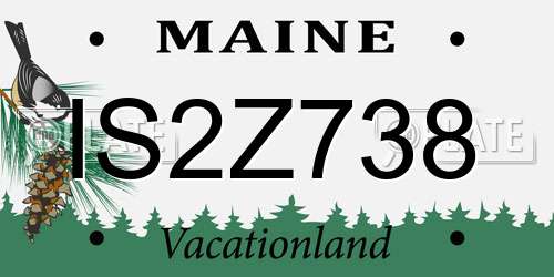 IS2Z738 Maine License Plate