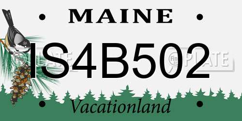 IS4B502 Maine License Plate