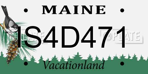IS4D471 Maine License Plate