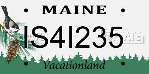 IS4I235 Maine License Plate