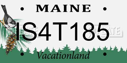 IS4T185 Maine License Plate