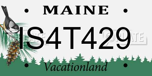 IS4T429 Maine License Plate
