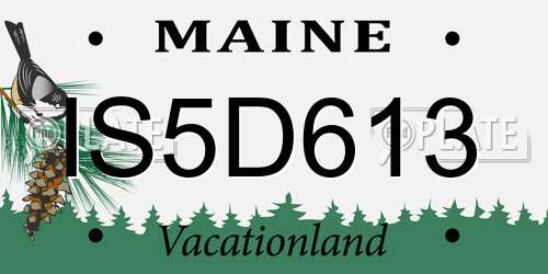 IS5D613 Maine License Plate