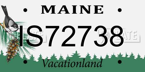 IS72738 Maine License Plate