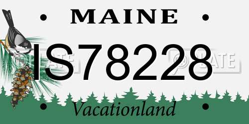 IS78228 Maine License Plate